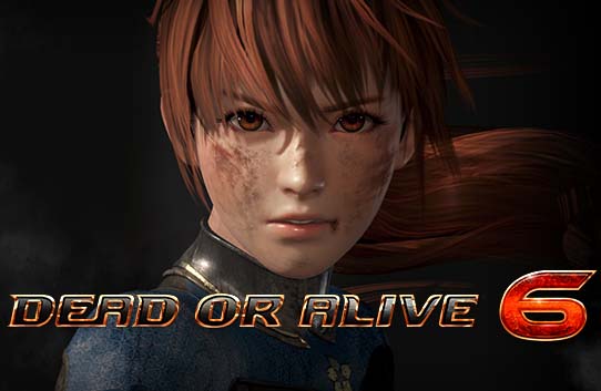 死或生6|豪华中文|Build.5161996+预购特典+季票-摇摇乐+全DLC-沙发资源